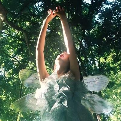 海豚的故事2